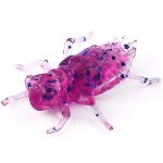 Dragonfly 0,75"(2cm) Violet/Blue 12vnt