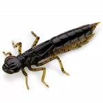 Dragonfly 1.7" #043 8vnt