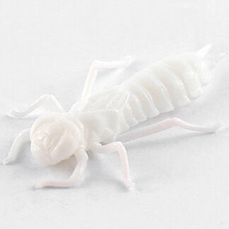 Dragonfly 1,5"(3.7cm) White 8vnt