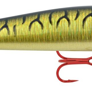 Zander Shad 9 DP Gold Moon