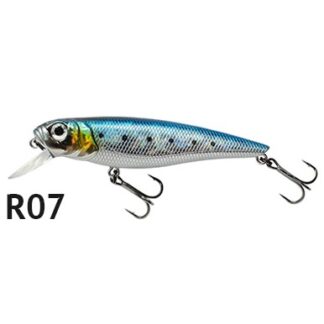 Tomcat 80SP - SR R07