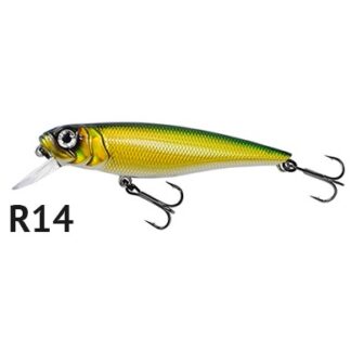 Tomcat 80SP - SR R14