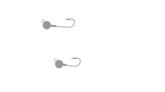 Complex Shad 10cm #027 4vnt - Image 2