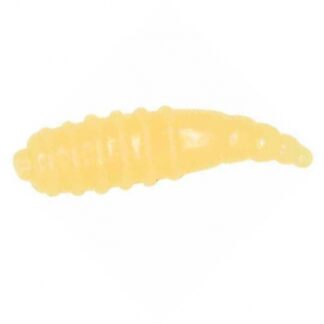 Maggot