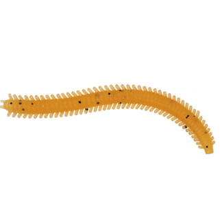 Rag Worm 3''/7cm #004 10vnt