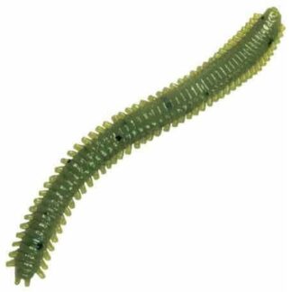 Rag Worm