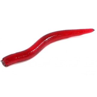Curly Worm 1.5"/35mm #019 20vnt
