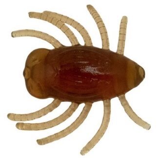 Dung Bug 1" #003 5vnt