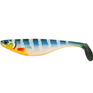 ShadTeez 12cm A 1vnt