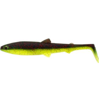 BullTeez 9.5cm BC 1vnt