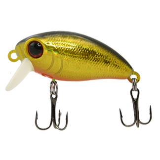 Luremax Hobo 36F SSR #002