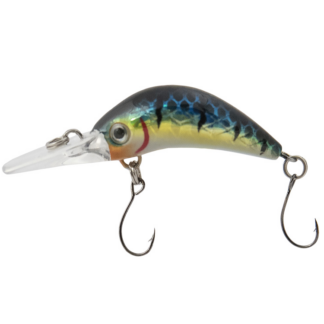 Luremax Senpai 30F SSR #107