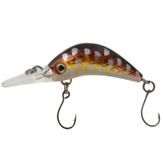 Luremax Senpai 30F SSR #108