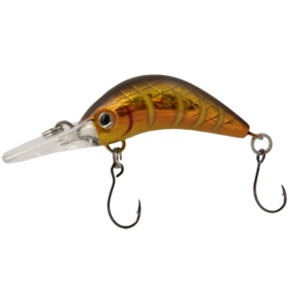 Luremax Senpai 30F SSR #111