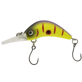 Luremax Senpai 30F SSR #114