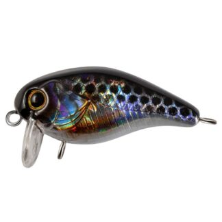 Chef SSR 38F #264 4.2gr