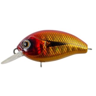 Agent 36F #55L8 4.4g