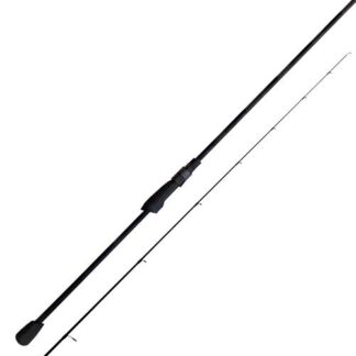 Favorite Black Swan TZ