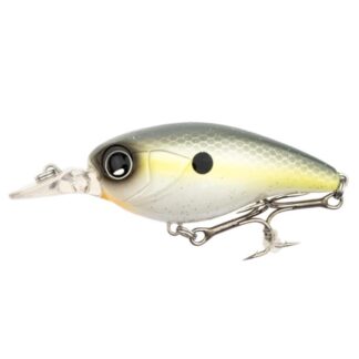 Bantam Kozak 54F SR #010