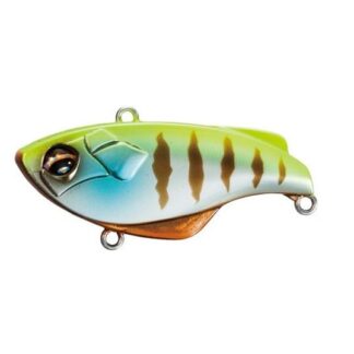 BT Rattlin Sur-vibe #006