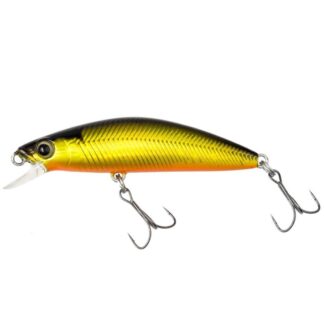 Cardiff Folletta 50SS #008