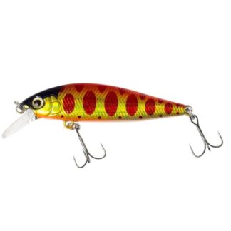 Cardiff Pinspot 50S #010